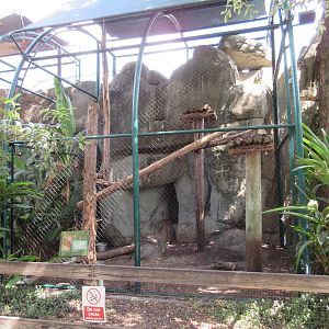Fossa Exhibit
