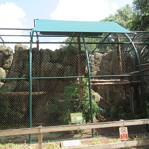 Clouded Leopard Exhibit
