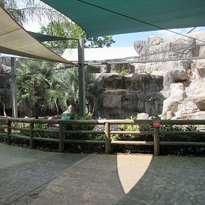Jaguar Exhibit