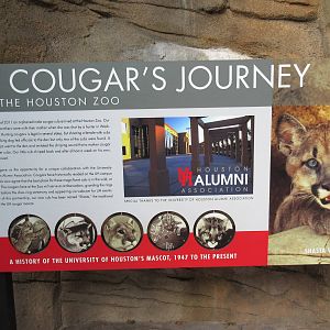 Cougar Exhibit - Sign