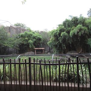 Malayan Tiger Exhibit