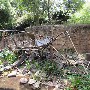 World of Primates - Ring-Tailed Lemur Exhibit