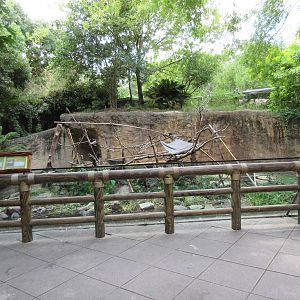 World of Primates - Ring-Tailed Lemur Exhibit