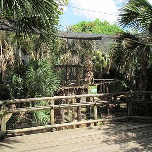 World of Primates - Mandrill Exhibit