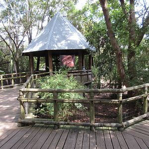 World of Primates - Visitor Pathway