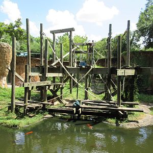 World of Primates - Orangutan Exhibit