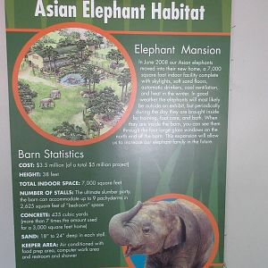 Asian Elephant Exhibit- Barn Facts