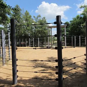 Asian Elephant Exhibit #2