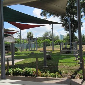 Asian Elephant Exhibit #1 - Presentation Area