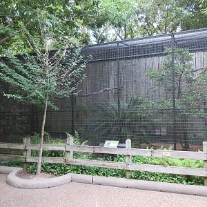Bird Garden - Rhinoceros Hornbill Exhibit