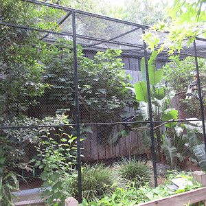 Bird Garden - Great Indian Hornbill Exhibit