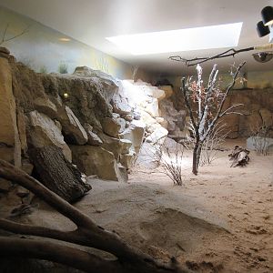 Natural Encounters Building - Crowned Hornbill/Antelope Ground Squirrel Exh