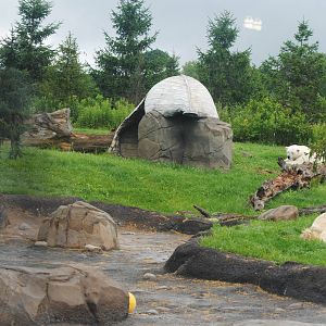 Columbus Zoo 2015 - Nanuq, Anana, Aurora