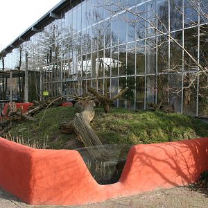 Asian small-clawed otter exhibit