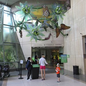 Butterfly Center - Entrance