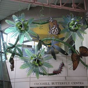 Butterfly Center - Entrance Statues