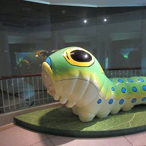 Butterfly Center - Jump on a Bug!