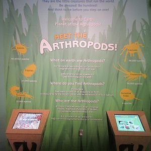 Butterfly Center - Hall of Entomology