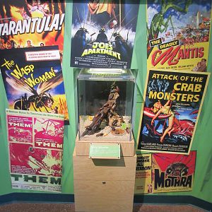 Butterfly Center - Hall of Entomology