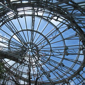 Butterfly Center - Roof