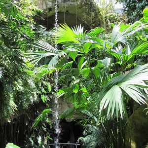 Butterfly Center - Tall Waterfall