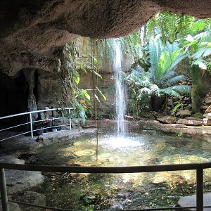 Butterfly Center - Pool