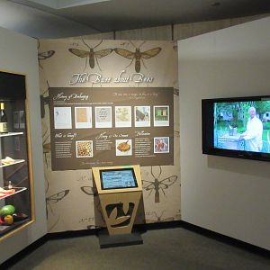 Butterfly Center - Hall of Entomology