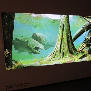 The Hall of Paleontology - The Age of Giant Fishes