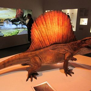 The Hall of Paleontology - Dimetrodon