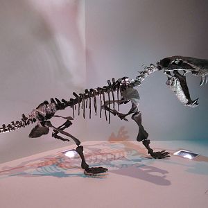 The Hall of Paleontology - Sabre-Toothed Cat