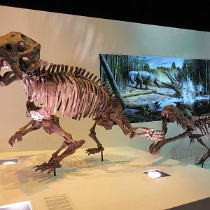 The Hall of Paleontology - Smilosuchus attacking Placerias