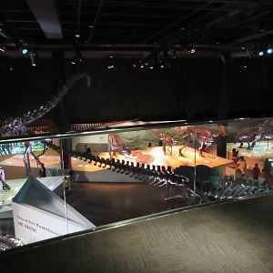 The Hall of Paleontology - from overlook deck