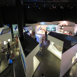 The Hall of Paleontology - from overlook deck