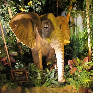 Animatronic African Elephant