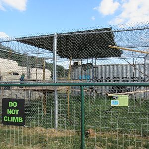 Two-Toed Sloth/Macaw Exhibit