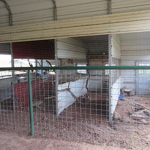 Small Animal Cages (4 Species)