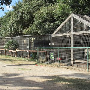 Ramshackle Primate Cages