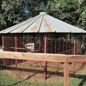Bonnet Macaque Exhibit