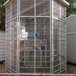 Hyacinth Macaw Cage