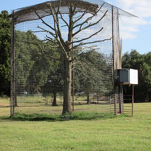 Drive-Through Safari - Ring-Tailed Lemur Exhibit