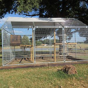 Drive-Through Safari - Random Empty Cage