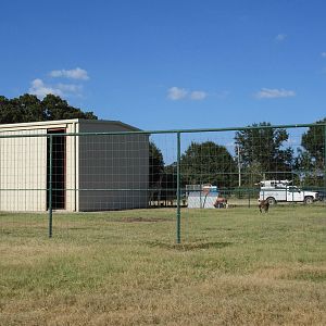 Drive-Through Safari - Giraffe Yard
