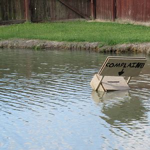 Gator Exhibit - Complaints Sign