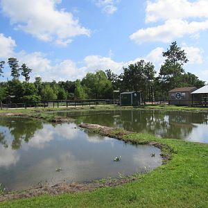 Gator Exhibit