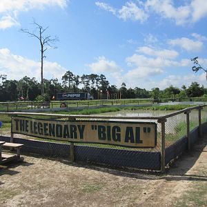 Gator Exhibit