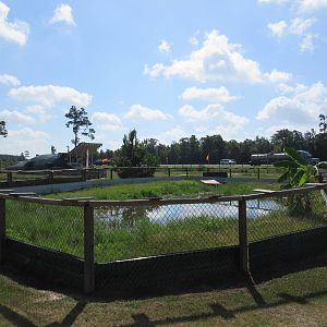 Gator Exhibit