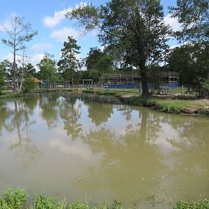 Gator Exhibit