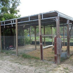 Raccoon Exhibit (under repair)