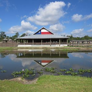 Gator Exhibit
