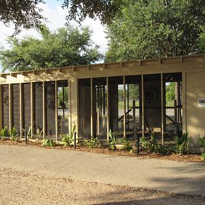 Turkey Vulture + Barred Owl Exhibits